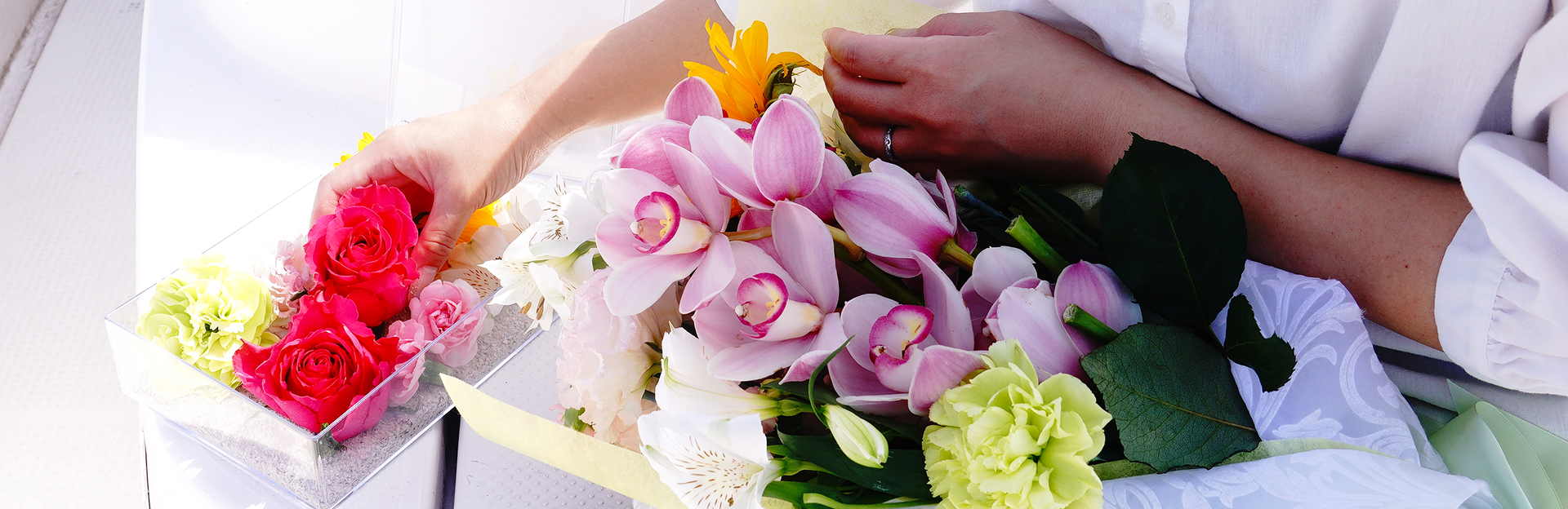 海洋葬 slow:slow｜海洋散骨・ペット散骨・墓じまい散骨、乗船散骨